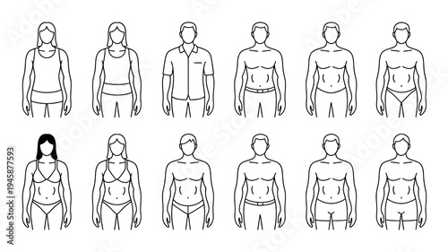 A collection of line art figures depicts diverse body types and proportions showcasing both male and female forms in varying states of dress high quality professional