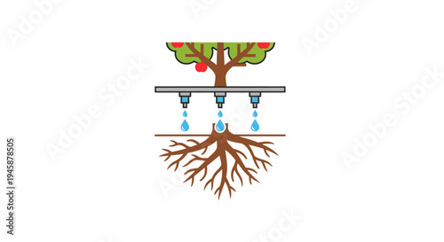 Automatic tree irrigation system roots.