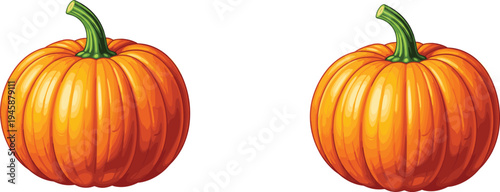 Orange pumpkin vegetable whole fresh autumn harvest food ingredient flat vector illustration isolated on white background