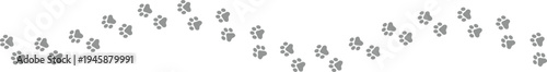 Paw Prints. Cute pets and Dogs pets paw print isolated on white background. Animal paw prints.