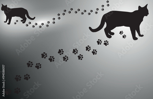 Paw Prints Background. Cute pets and Dogs pets paw print isolated on white background.