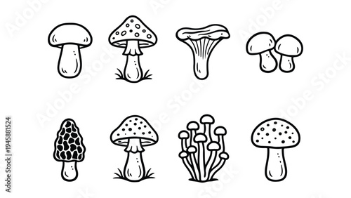 Hand Drawn Mushroom Silhouette Set – Wild Forest Fungi Vector Icons