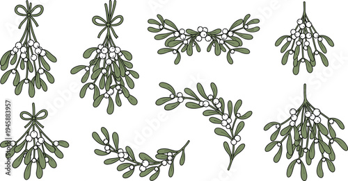 Christmas Mistletoe Branches Collection Holiday Botanical Decoration Traditional Winter Plant Vector Illustration Set