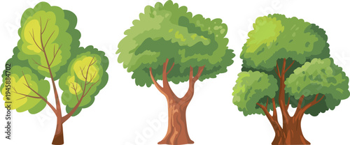 WebGreen tree vector illustration set, different summer deciduous trees with lush foliage and brown trunks isolated on white background, design.