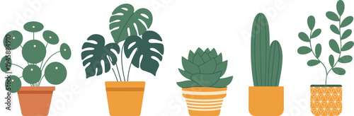 WebMinimalist houseplant collection illustration, indoor potted plants, modern botanical decor, cactus, monstera, succulent, flat design greenery for home interior