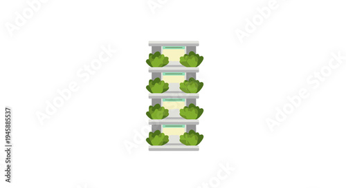 Broccoli on kitchen shelves stacked high.