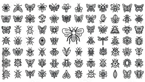 Insects Bees Butterflies Moths Flies Collection.