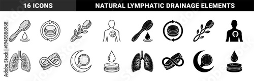 Dry Body Brush Hygiene Concept Elements Merging Bamboo Bristles with Human Anatomy Lungs Heart and Organic Leaf Symbols for Holistic Wellness