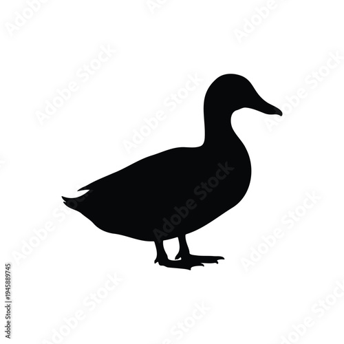 Duck silhouette icon vector flat design.