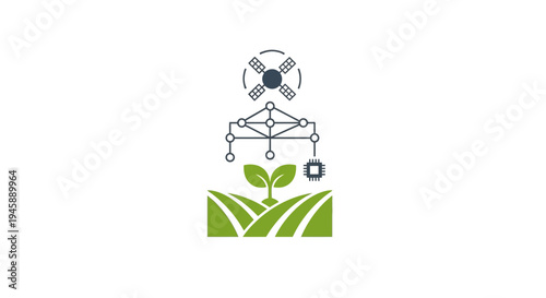 Drone over green plant seedling farm.