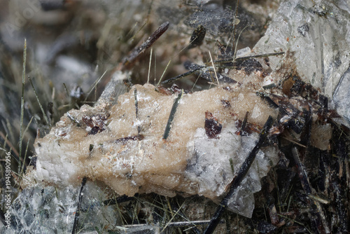 Macro lorenzenite pink reddish crystals alongside aegirine black acicular formations within analcime white matrix from Aikuaivenchorr Mountain, Russia, via microscope, 10x magnification