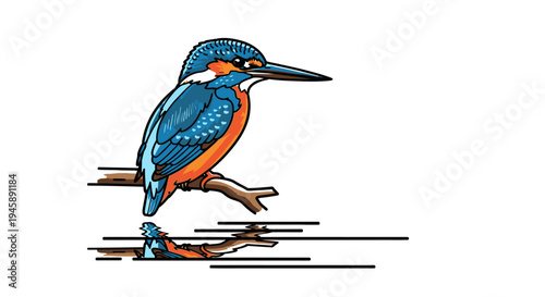 Colorful kingfisher perched on a branch isolated on white background