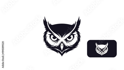 Stylized owl logo design with head and face in vector style