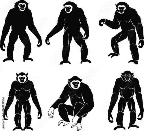 Gibbon silhouette illustrations, black vector, long arms, hanging pose, standing posture, side profile, animal design, character set