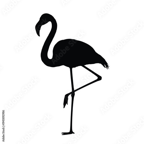 A striking black silhouette of a flamingo standing in profile