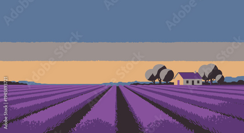 Purple lavender field landscape with house and trees illustration