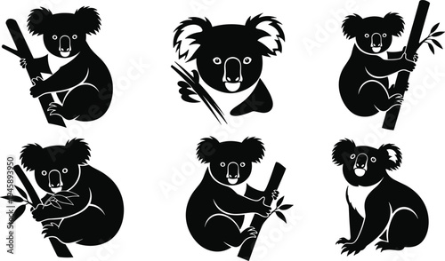 Koala illustrations, black and white, tree pose, sitting posture, climbing gesture, cartoon style, vector art, animal design, character set