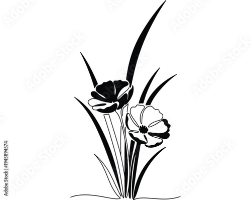 Black and white of two poppies with leaves poppy flower
