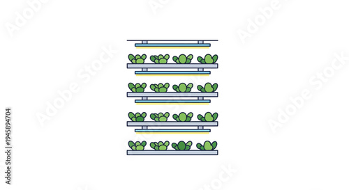 Green grapes in purple containers.