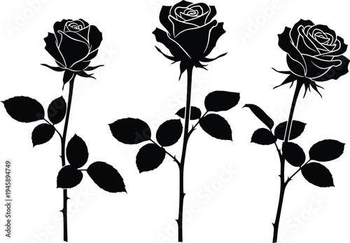 Three black rose silhouettes with leaves on white background flower