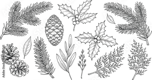 Hand Drawn Christmas Botanical Elements Set with Pine Branches, Pine Cones, Holly Leaves, Winter Foliage and Natural Forest Plants Vintage Engraving Style Vector Collection
