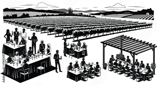 People enjoying wine and dining amongst vineyard rows black and white silhouette