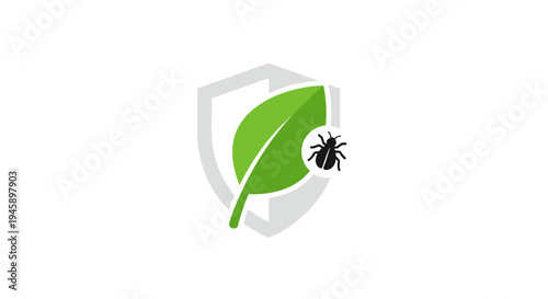 Green leaf with black insect.