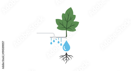 Green leafy plant with roots growing.