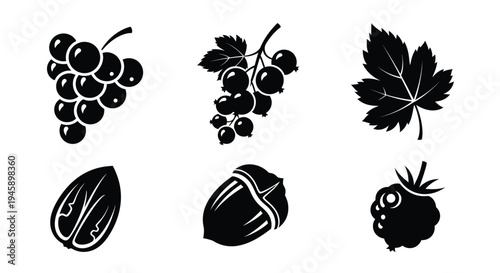 Black silhouettes of fruits nuts and leaves against a white background silhouette