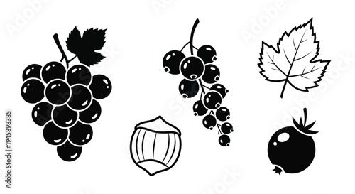 Black fruit and nut illustrations depicting grapes currants and a hazelnut silhouette