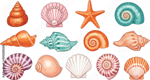 Colorful seashell collection with starfish spiral shells and scallops marine ocean elements cartoon vector illustration set