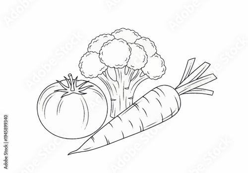 An illustration of a fresh vegetable arrangement featuring a carrot, tomato, and cauliflower.
