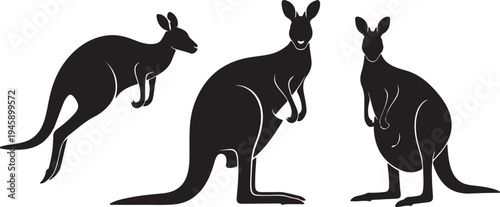 Kangaroo Silhouette Set in Different Poses Australian Wildlife Vector Illustration