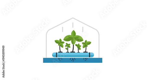 Greenhouse with plants and water base.