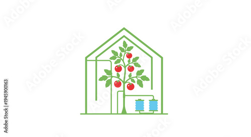 Greenhouse with Tomato Plant Inside.