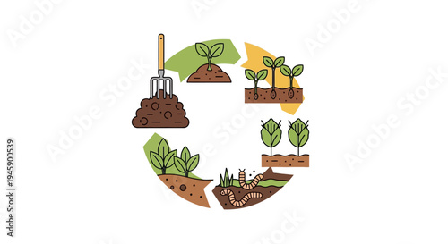 Greenhouse plants growing in soil layers.
