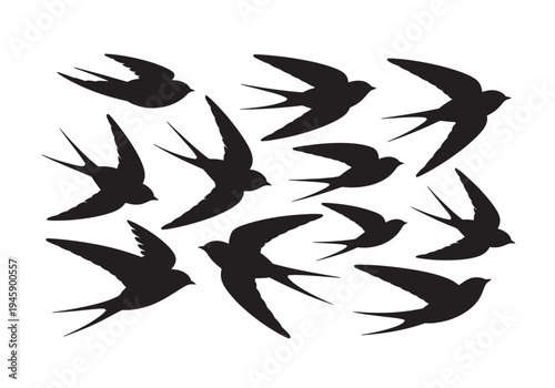 Swallows in Flight Silhouettes arrangement flying
