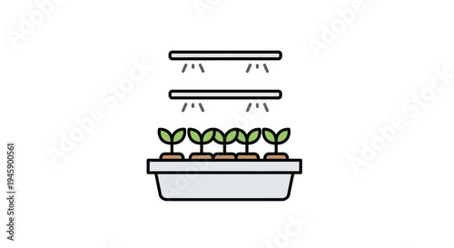 Greenhouse seedlings growing in planter.