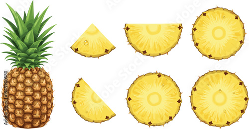 Fresh pineapple fruit whole and sliced tropical juicy food ingredient flat vector illustration set isolated