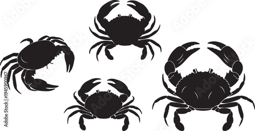 Crab Silhouette Vector Set - Marine Crustacean and Seafood Icon Collection