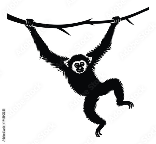 Silhouette of a gibbon monkey hanging from a tree branch