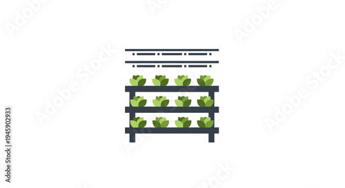 Indoor Vertical Farm Growing Lettuce Plants.