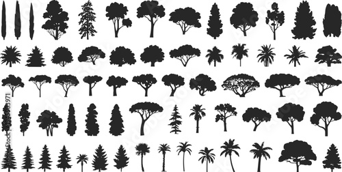 Collection of tree silhouettes set, diverse forest and tropical plant shapes, black vector icons isolated for nature design, landscaping, and ecology concepts