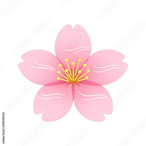 PNG Delicate pink cherry blossom illustration.