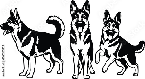 German shepherd dog illustration set with standing and playful poses, detailed canine silhouette design, pet animal vector collection
