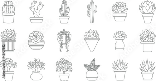 A diverse collection of minimalist black and white line art icons showcasing various potted cacti and succulent plants, ideal for modern design projects.