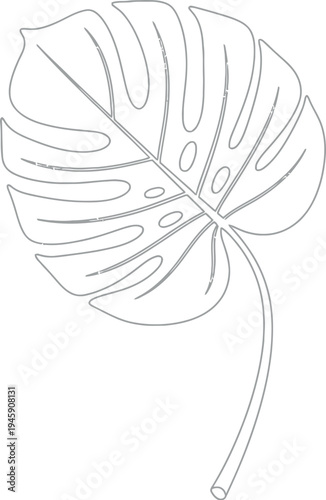 A beautiful single line art drawing of a monstera deliciosa tropical leaf, showcasing its iconic split-leaf design as a minimalist botanical illustration perfect for modern decor.