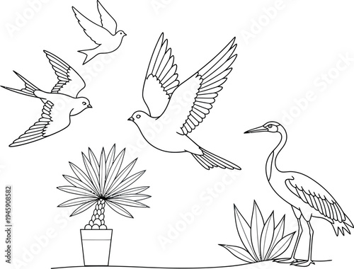 Outline drawing compilation features several flying birds alongside a standing heron and potted palm plant elements