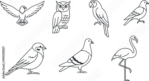 Collection of seven distinct stylized black line art illustrations depicting various common and exotic birds on a white background