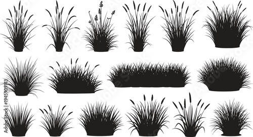 Grass and wild plant silhouettes collection with meadow vegetation bushes and reeds botanical vector illustration isolated background